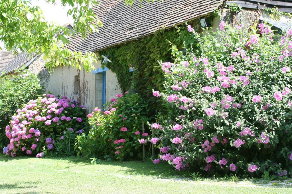 Le Vivier Hotell Challes Rom bilde